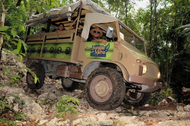 Paseo por la jungla.jpg
